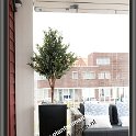 olijf 130 cm in bouvy black 2